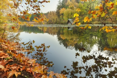 Christian Poem Autumn Glory